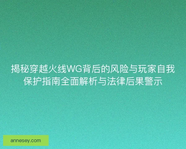 揭秘穿越火线WG背后的风险与玩家自我保护指南全面解析与法律后果警示