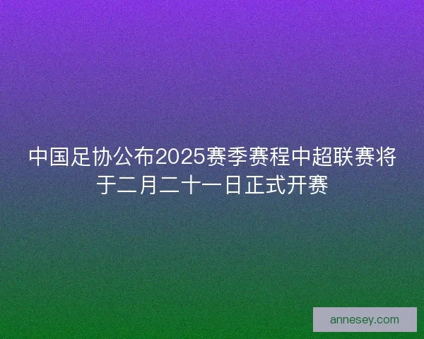 中国足协公布2025赛季赛程中超联赛将于二月二十一日正式开赛